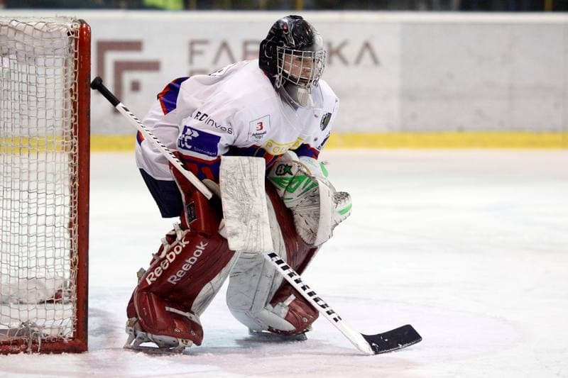 Ice Hockey. Polska Hokej Liga. Tempish Polonia Bytom - GKS Tychy. 15.02.2017