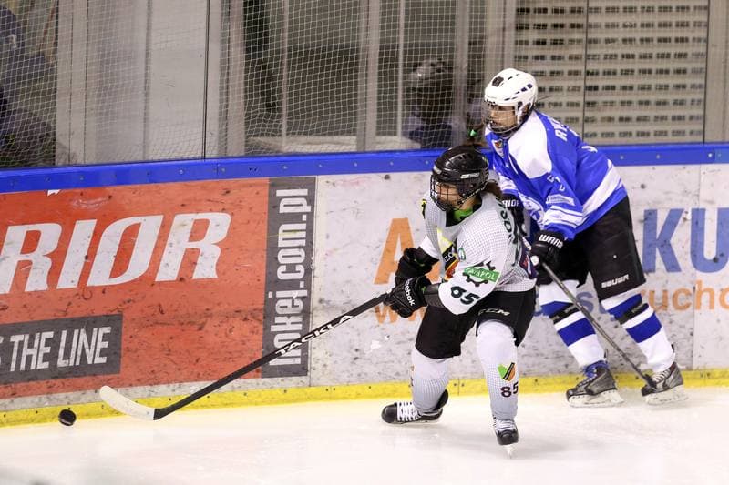 Ice Hockey. PLHK. Naprzod Janow - Stoczniowiec Gdansk. 25.02.2017