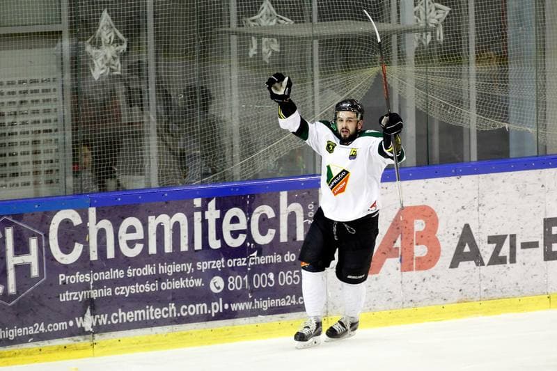 Ice Hockey. I Liga. Naprzod Janow - Zaglebie Sosnowiec. 12.03.2017