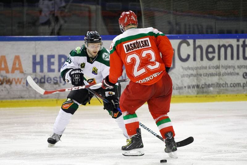 Ice Hockey. I Liga. Naprzod Janow - Zaglebie Sosnowiec. 12.03.2017