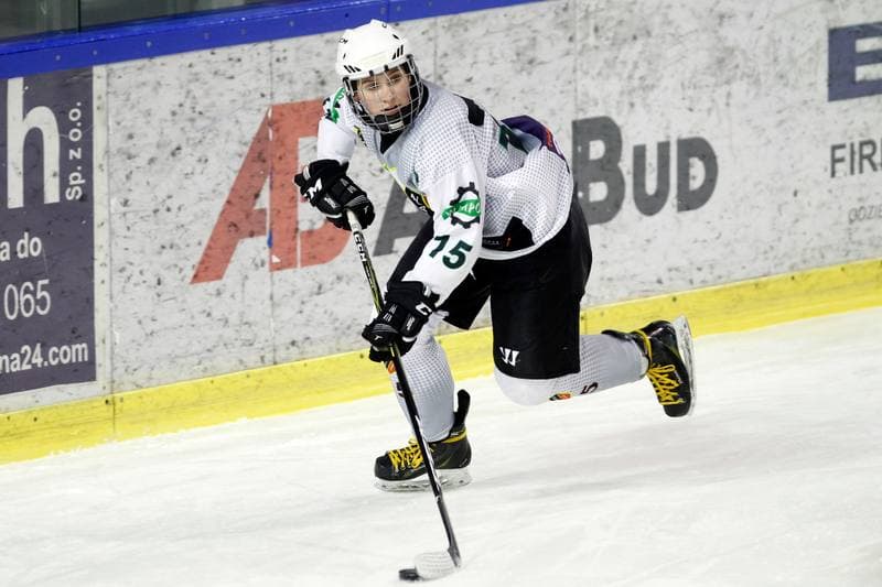 Ice Hockey. PLHK. Naprzod Janow - Polonia Bytom. 18.01.2018