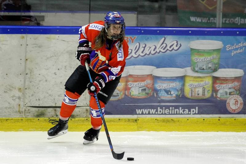 Ice Hockey. PLHK. Naprzod Janow - Polonia Bytom. 18.01.2018