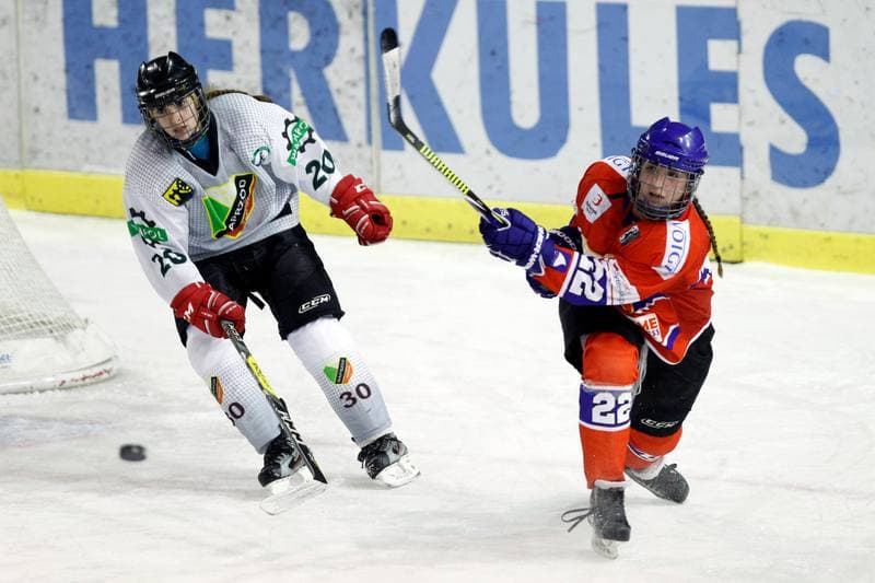 Ice Hockey. PLHK. Naprzod Janow - Polonia Bytom. 18.01.2018