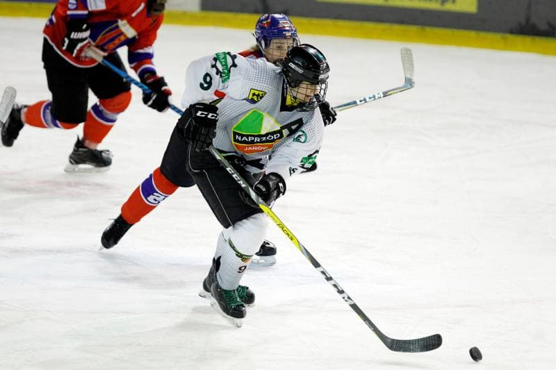 Ice Hockey. PLHK. Naprzod Janow - Polonia Bytom. 18.01.2018