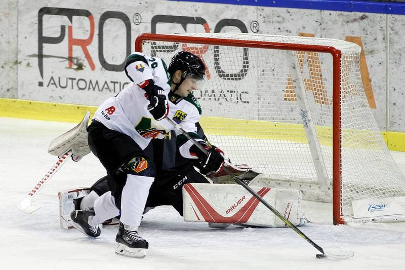 Ice Hockey. Polska Hokej Liga. Anteo Naprzod Janow - Comarch Cracovia Krakow. 19.01.2018
