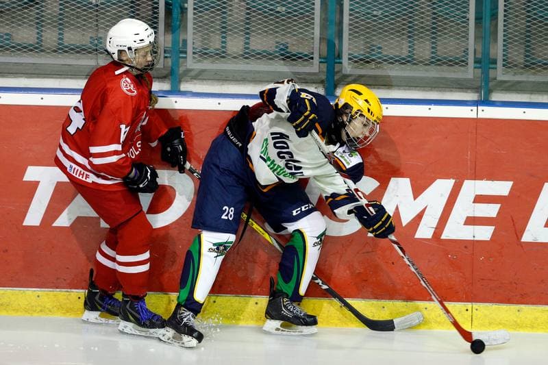 Ice Hockey. Women's Friendly Match. Poland - Ontario. 04.04.2017