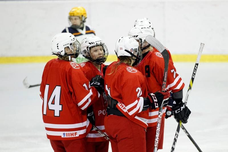 Ice Hockey. Women's Friendly Match. Poland - Ontario. 04.04.2017