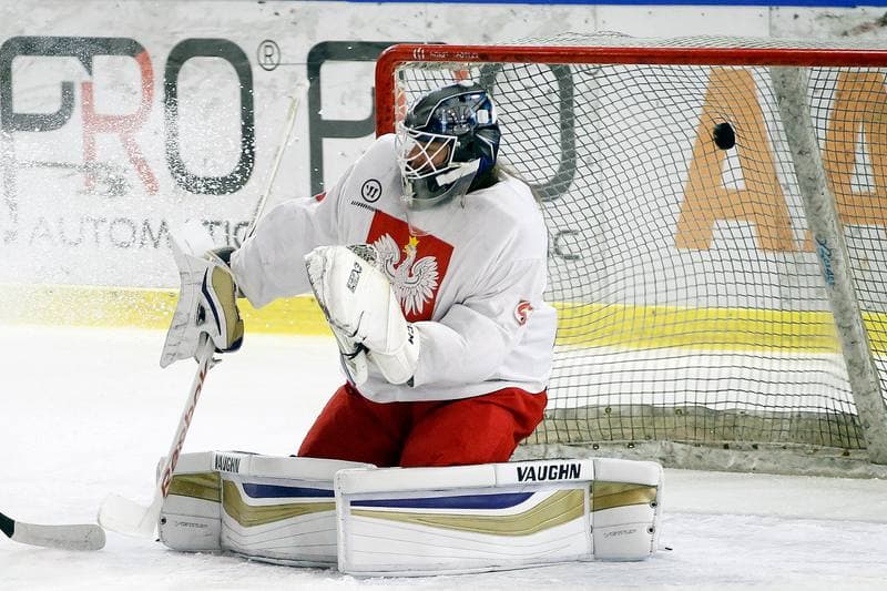 Ice Hockey. Poland national team. Training. 13.02.2018