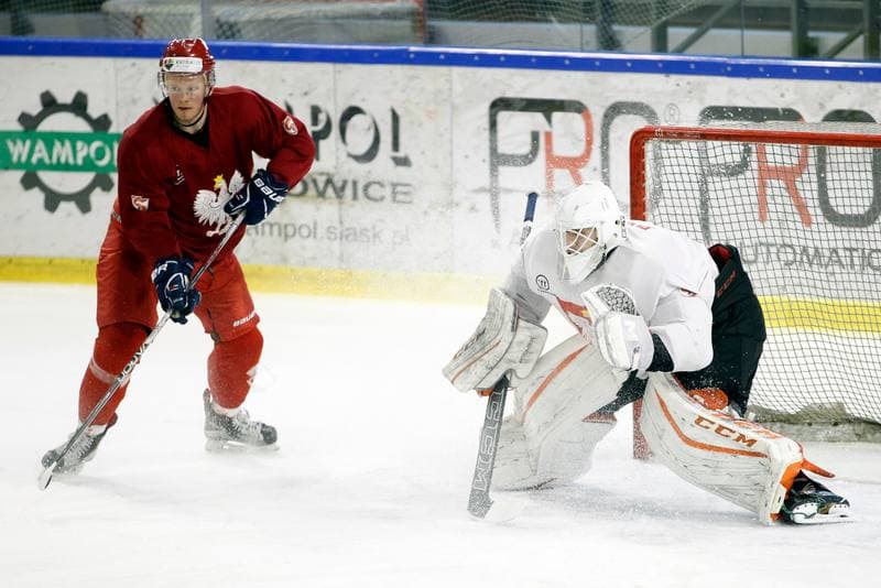 Ice Hockey. Poland national team. Training. 13.02.2018