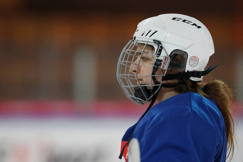 Ice Hockey. Poland national team. Training. 15.02.2018