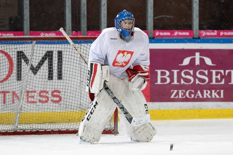 Ice Hockey. Poland national team. Training. 15.02.2018