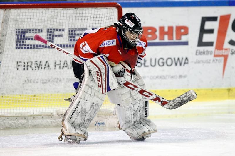 Ice Hockey. PLHK. Naprzod Janow - Polonia Bytom. 24.02.2018