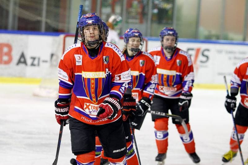 Ice Hockey. PLHK. Naprzod Janow - Polonia Bytom. 24.02.2018