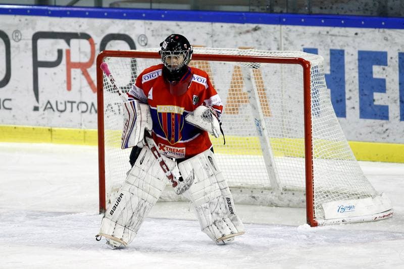 Ice Hockey. PLHK. Naprzod Janow - Polonia Bytom. 18.01.2018