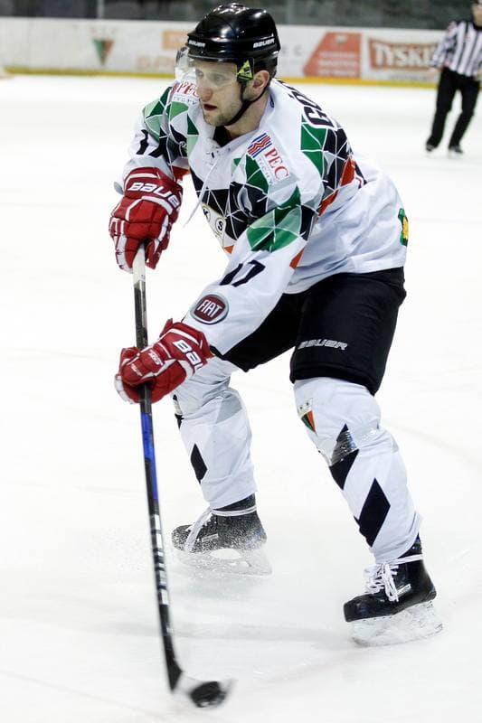 Ice Hockey. Polska Hokej Liga. GKS Tychy - Comarch Cracovia. 21.01.2018