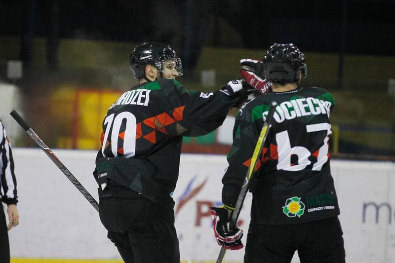 Ice Hockey. Polska Hokej Liga. Polonia Bytom - GKS Tychy. 28.01.2018