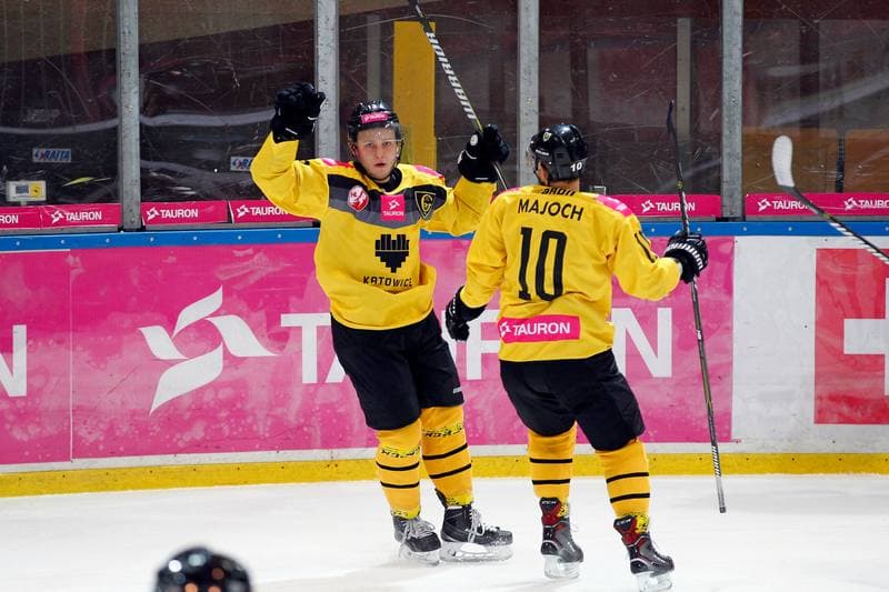 Ice Hockey. Tauron Hokej Liga. Tauron KH GKS Katowice - Anteo Naprzod Janow. 03.11.2017