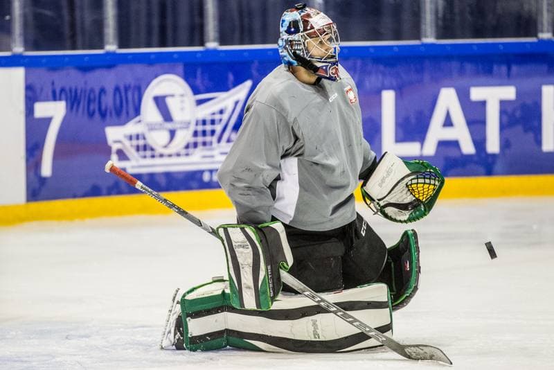 Ice Hockey. Poland national team. Training. 08.11.2019