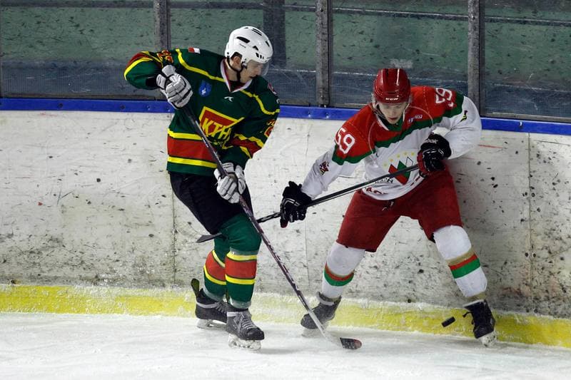 Ice Hockey. I Liga. Zaglebie Sosnowiec - Academy 1928 KTH Krynica. 10.02.2018