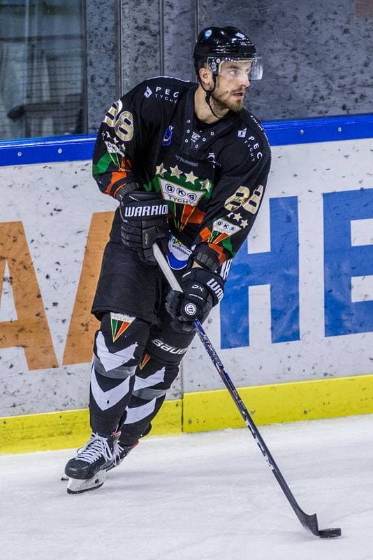 Ice Hockey. PHL. Naprzod Janow - GKS Tychy. 17.11.2019