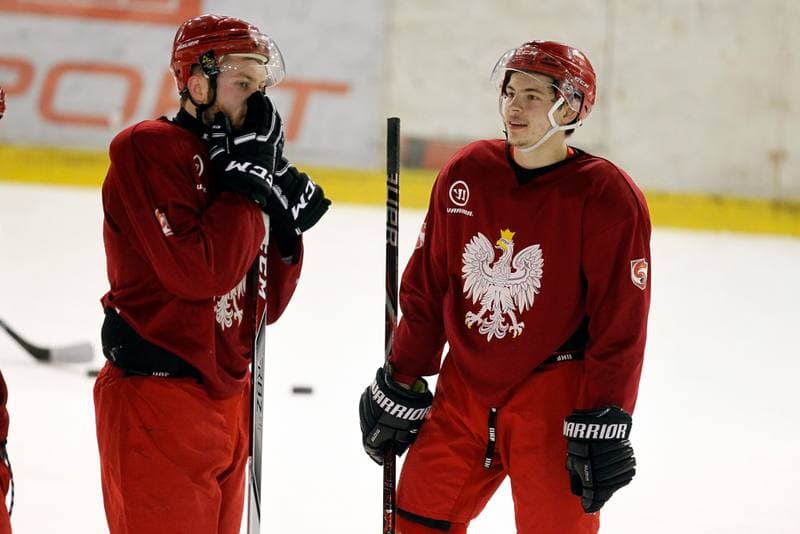 Ice Hockey. Poland national team. Training. 13.02.2018