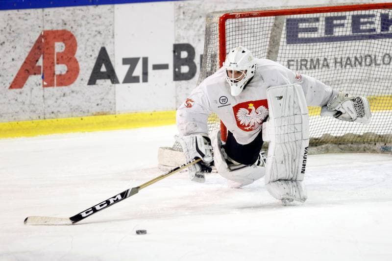 Ice Hockey. Poland national team. Training. 13.02.2018