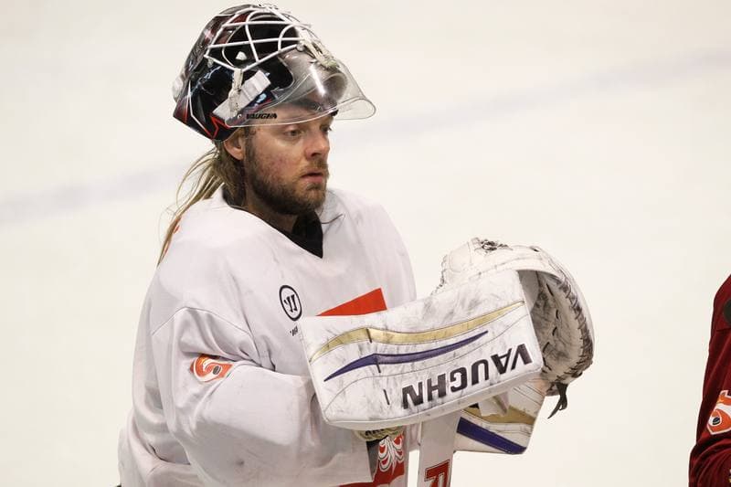 Ice Hockey. Poland national team. Training. 13.02.2018
