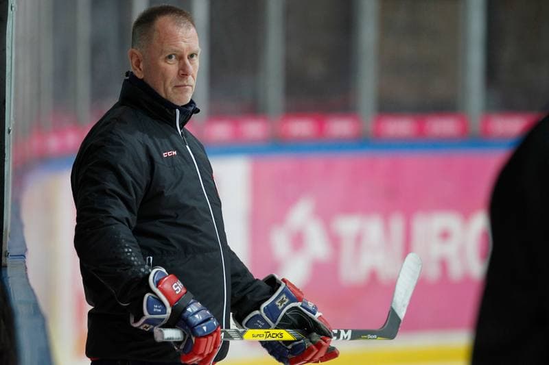 Ice Hockey. Poland national team. Training. 15.02.2018