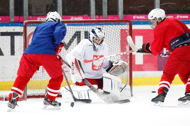 Ice Hockey. Poland national team. Training. 15.02.2018