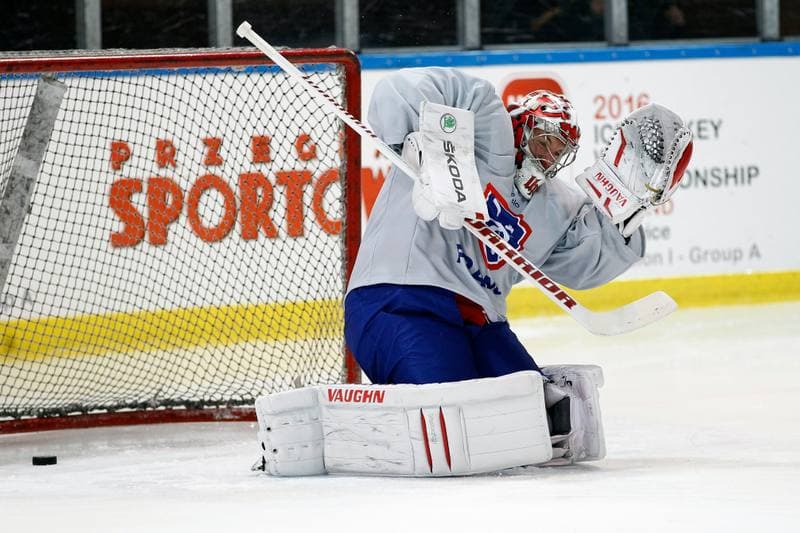 Ice Hockey. France. Training. 15.12.2015