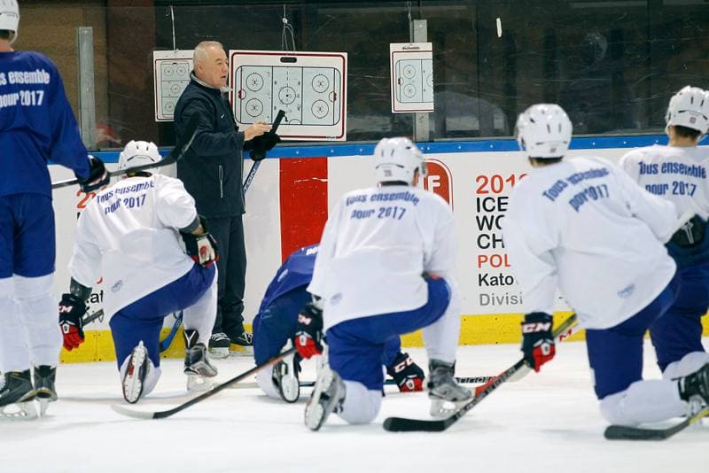 Ice Hockey. France. Training. 15.12.2015