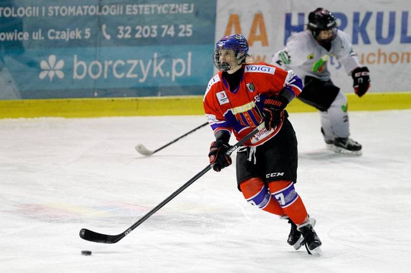 Ice Hockey. PLHK. Naprzod Janow - Polonia Bytom. 18.01.2018