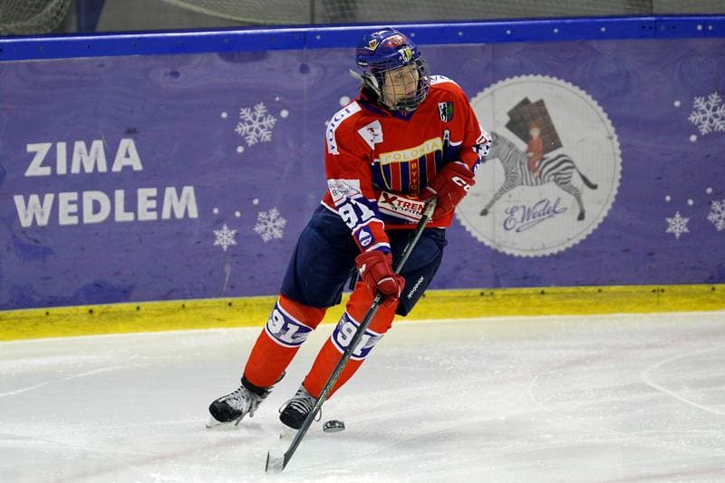 Ice Hockey. PLHK. Naprzod Janow - Polonia Bytom. 18.01.2018