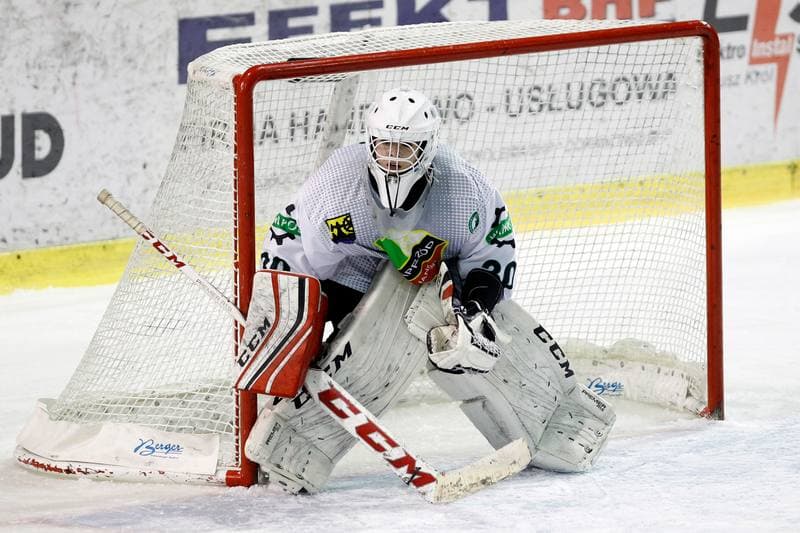 Ice Hockey. PLHK. Naprzod Janow - Polonia Bytom. 18.01.2018