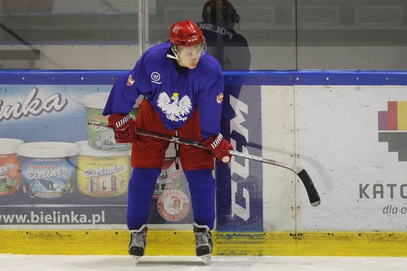 Ice Hockey. Poland national team. Training. 13.02.2018