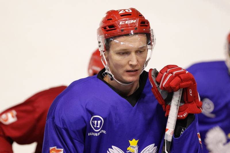 Ice Hockey. Poland national team. Training. 13.02.2018