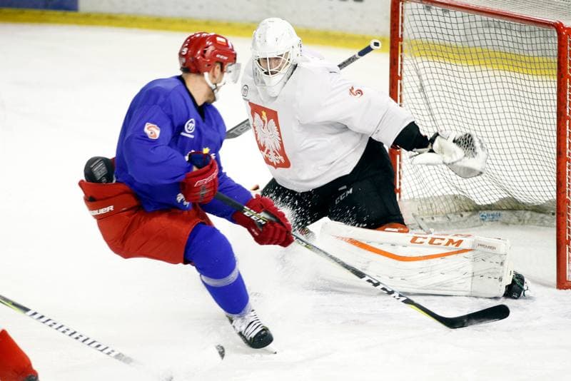 Ice Hockey. Poland national team. Training. 13.02.2018