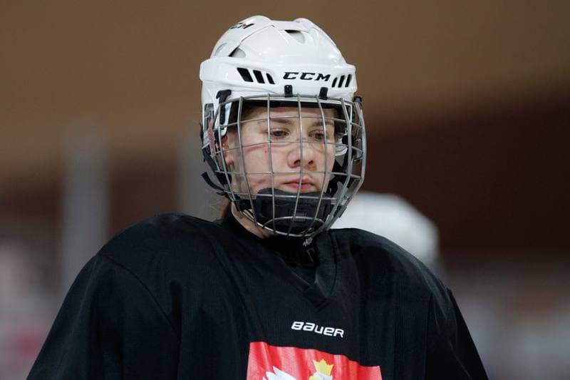 Ice Hockey. Poland national team. Training. 15.02.2018