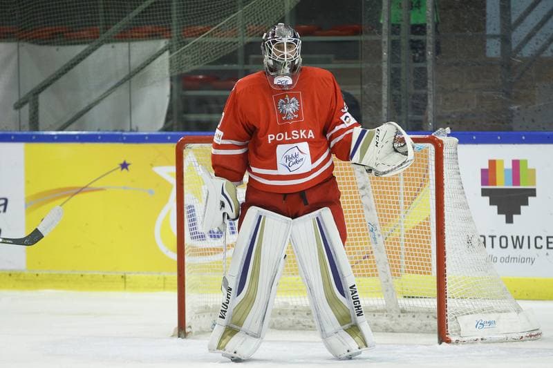 Ice Hockey. EIHC. Poland - Kazakhstan. 17.02.2018