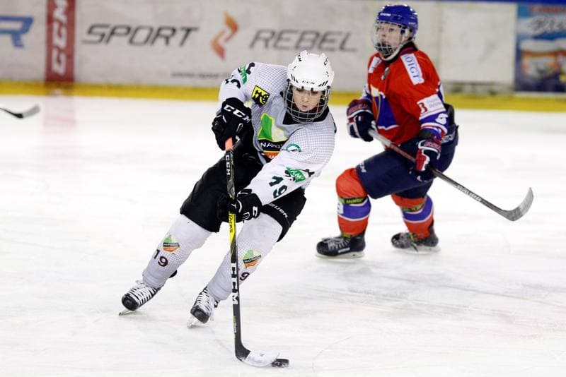 Ice Hockey. PLHK. Naprzod Janow - Polonia Bytom. 24.02.2018