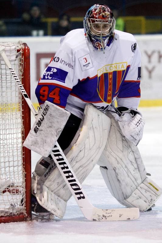 Ice Hockey. Polska Hokej Liga. Tempish Polonia Bytom - GKS Tychy. 06.01.2017