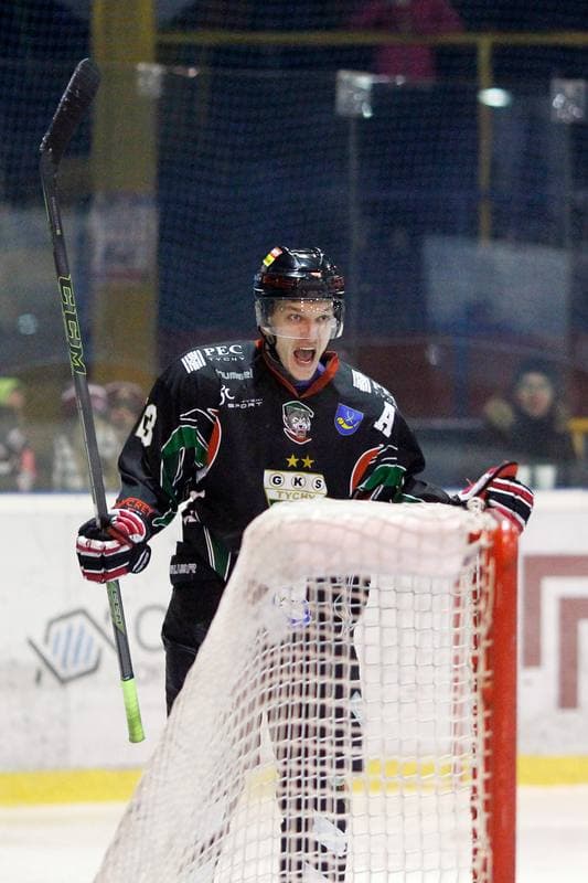 Ice Hockey. Polska Hokej Liga. Tempish Polonia Bytom - GKS Tychy. 06.01.2017