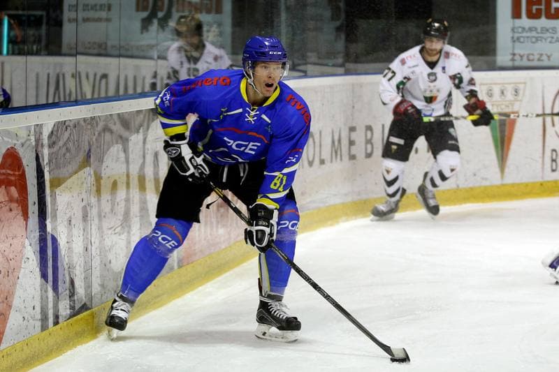 Ice Hockey. Polska Hokej Liga. GKS Tychy - Orlik Opole. 13.01.2017