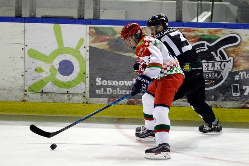 Ice Hockey. Polska Hokej Liga. Zaglebie Sosnowiec - GKS Tychy. 12.10.2018