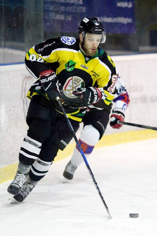 Ice Hockey. Polska Hokej Liga. Tempish Polonia Bytom - JKH GKS Jastrzebie. 20.01.2017