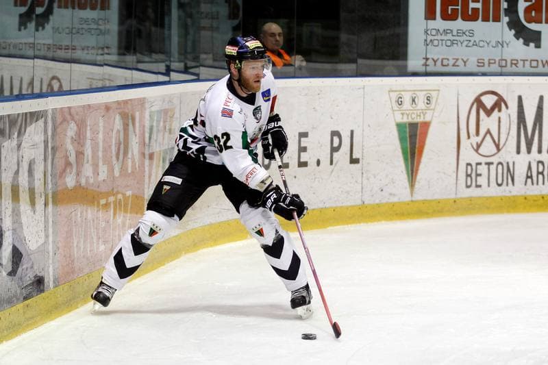 Ice Hockey. Polska Hokej Liga. GKS Tychy - Tempish Polonia Bytom. 22.01.2017