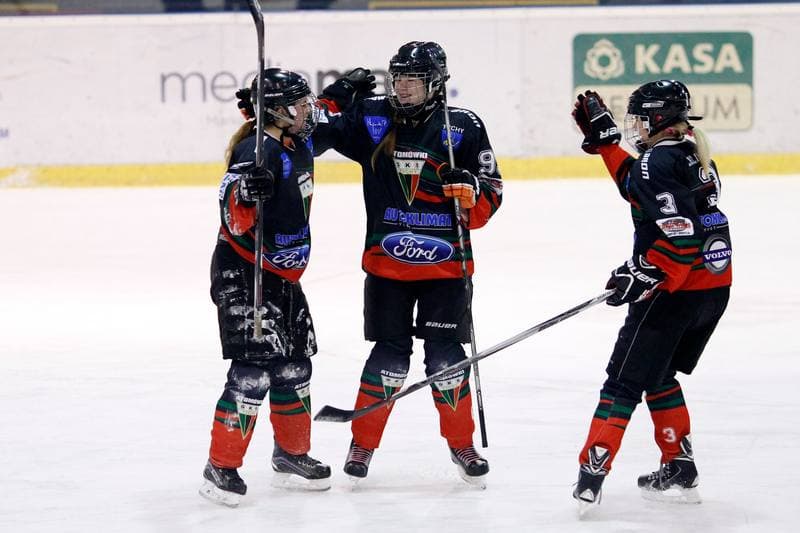 Ice Hockey. PLHK. Polonia Bytom - Atomowki Tychy. 27.01.2017