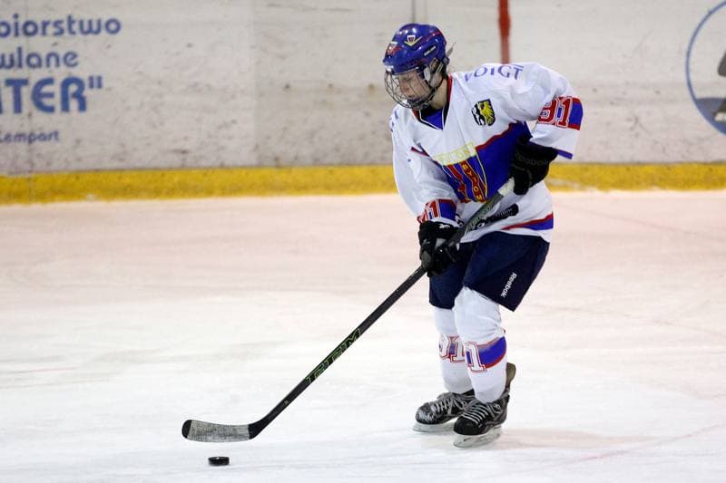 Ice Hockey. PLHK. Polonia Bytom - Atomowki Tychy. 27.01.2017