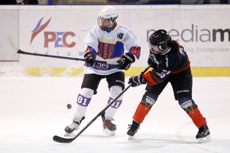Ice Hockey. PLHK. Polonia Bytom - Atomowki Tychy. 27.01.2017