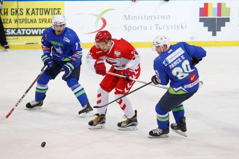Ice Hockey. Euro Ice Hockey Challenge. Poland - Slovenia. 09.02.2017